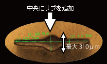 天然芝の断面を参考にしたセンターリブ