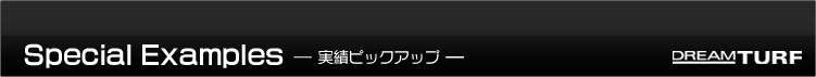 Special Examples　実績ピックアップ