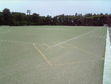 武蔵大学ホッケー場砂入り人工芝+スポーツレイヤー