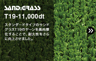 SAND GRASS T19-11,000dt