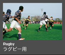 Rugby ラグビー用
