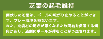 芝葉の起毛維持